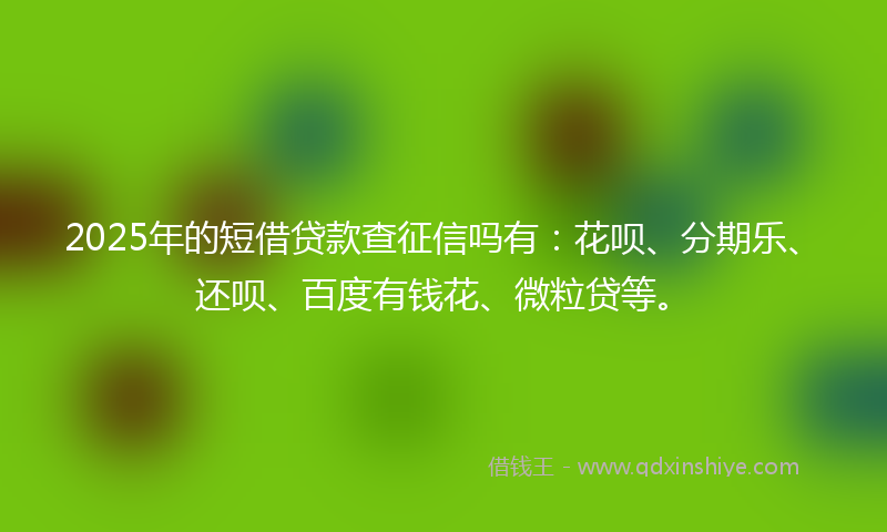 2025年的短借贷款查征信吗有：花呗、分期乐、还呗、百度有钱花、微粒贷等。