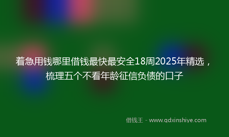 着急用钱哪里借钱最快最安全18周2025年精选，梳理五个不看年龄征信负债的口子