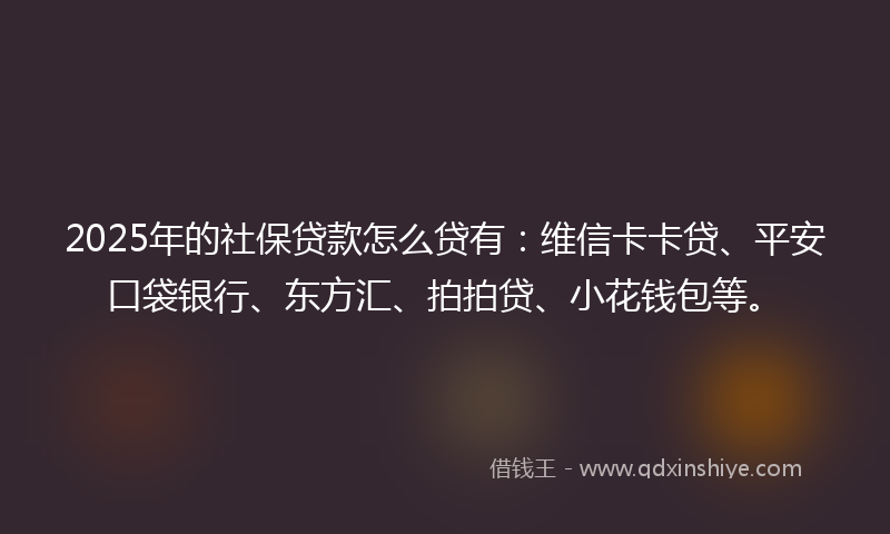 2025年的社保贷款怎么贷有：维信卡卡贷、平安口袋银行、东方汇、拍拍贷、小花钱包等。