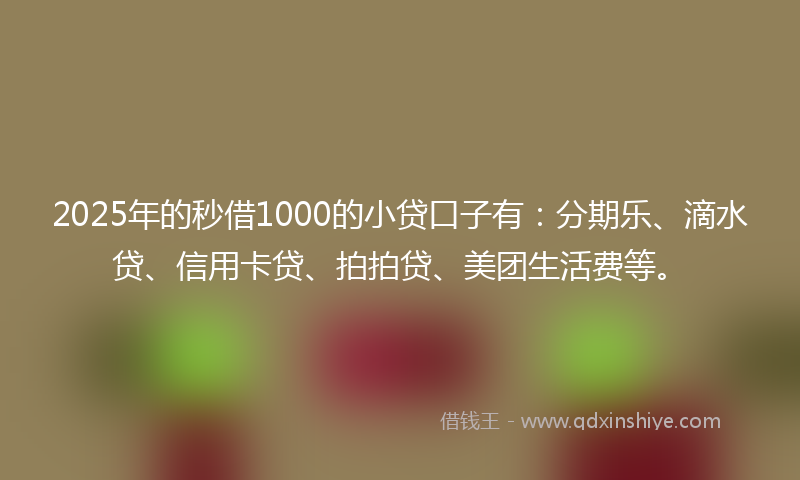 2025年的秒借1000的小贷口子有：分期乐、滴水贷、信用卡贷、拍拍贷、美团生活费等。