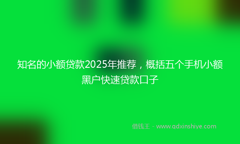 知名的小额贷款2025年推荐，概括五个手机小额黑户快速贷款口子