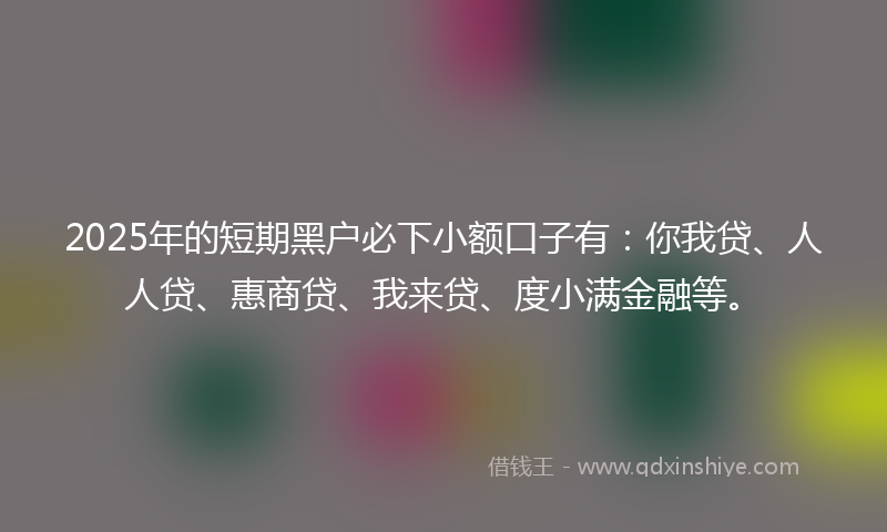 2025年的短期黑户必下小额口子有：你我贷、人人贷、惠商贷、我来贷、度小满金融等。