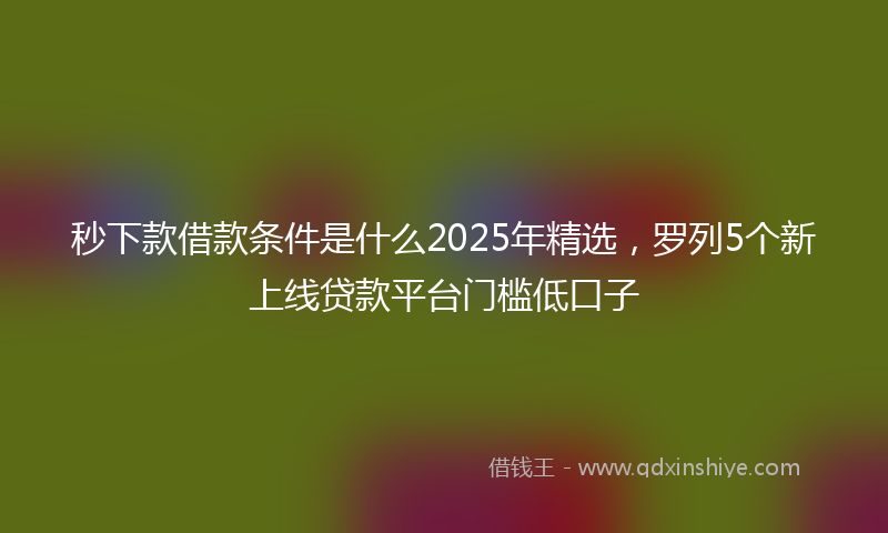 秒下款借款条件是什么2025年精选，罗列5个新上线贷款平台门槛低口子