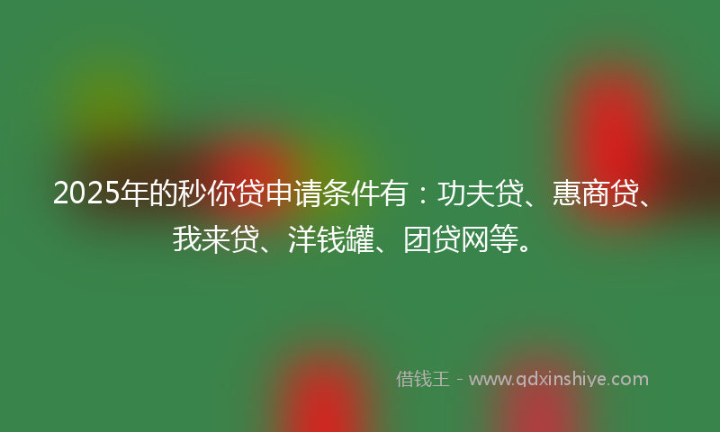 2025年的秒你贷申请条件有：功夫贷、惠商贷、我来贷、洋钱罐、团贷网等。