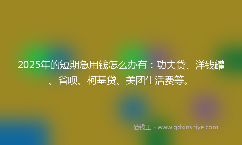 2025年的短期急用钱怎么办有:功夫贷、洋钱罐、省呗、柯基贷、美团生活费等。