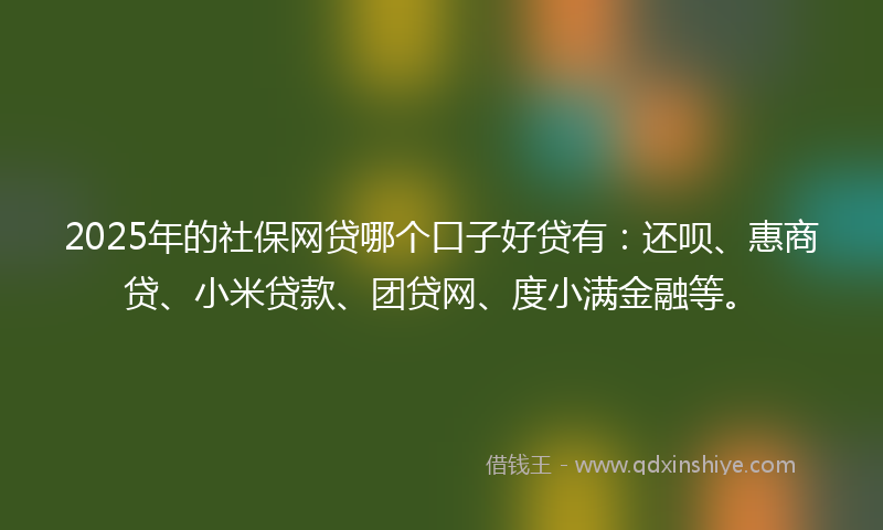 2025年的社保网贷哪个口子好贷有：还呗、惠商贷、小米贷款、团贷网、度小满金融等。