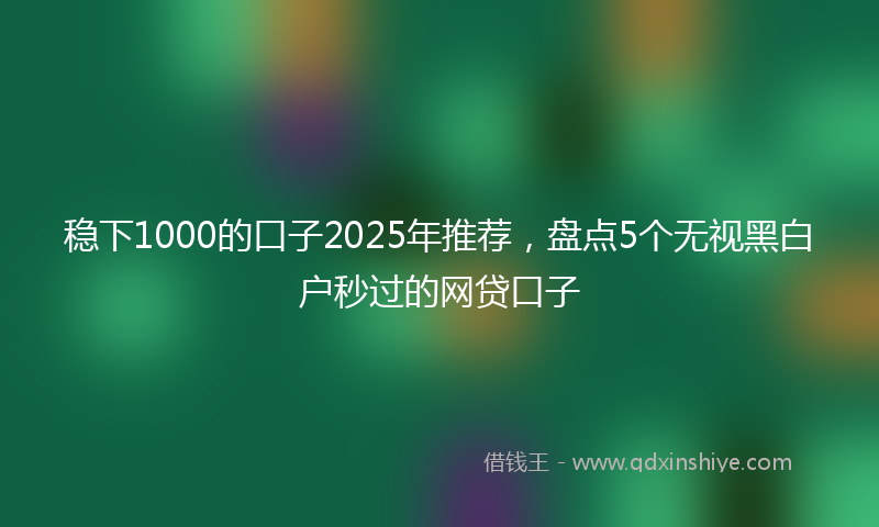 稳下1000的口子2025年推荐，盘点5个无视黑白户秒过的网贷口子