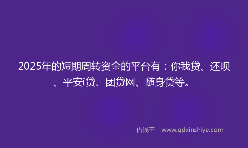 2025年的短期周转资金的平台有：你我贷、还呗、平安i贷、团贷网、随身贷等。