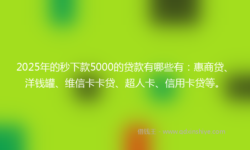 2025年的秒下款5000的贷款有哪些有：惠商贷、洋钱罐、维信卡卡贷、超人卡、信用卡贷等。