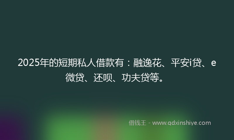 2025年的短期私人借款有：融逸花、平安i贷、e微贷、还呗、功夫贷等。