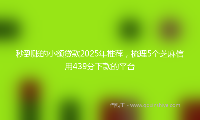秒到账的小额贷款2025年推荐，梳理5个芝麻信用439分下款的平台