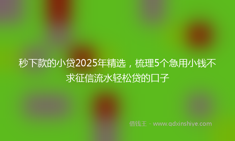 秒下款的小贷2025年精选，梳理5个急用小钱不求征信流水轻松贷的口子