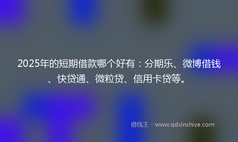 2025年的短期借款哪个好有：分期乐、微博借钱、快贷通、微粒贷、信用卡贷等。