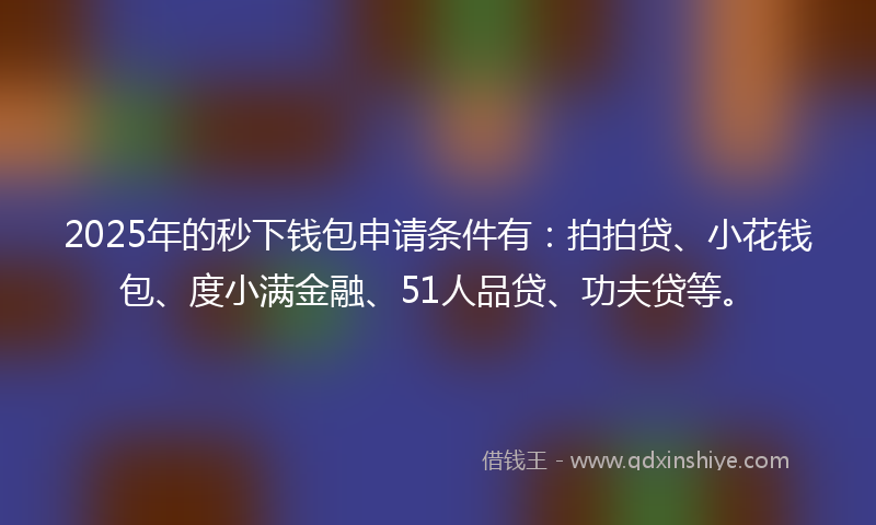 2025年的秒下钱包申请条件有：拍拍贷、小花钱包、度小满金融、51人品贷、功夫贷等。