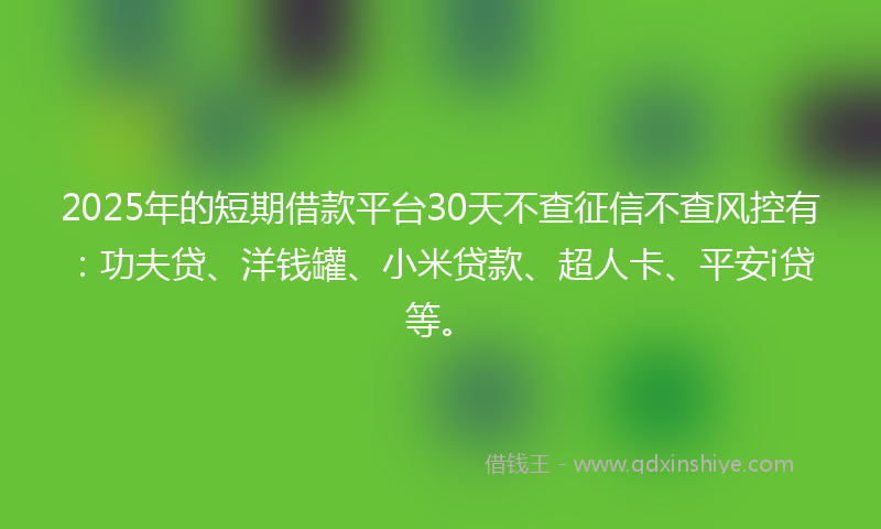 2025年的短期借款平台30天不查征信不查风控有：功夫贷、洋钱罐、小米贷款、超人卡、平安i贷等。