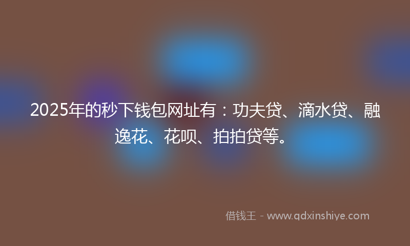 2025年的秒下钱包网址有：功夫贷、滴水贷、融逸花、花呗、拍拍贷等。