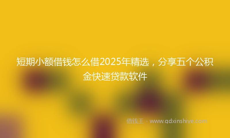 短期小额借钱怎么借2025年精选，分享五个公积金快速贷款软件