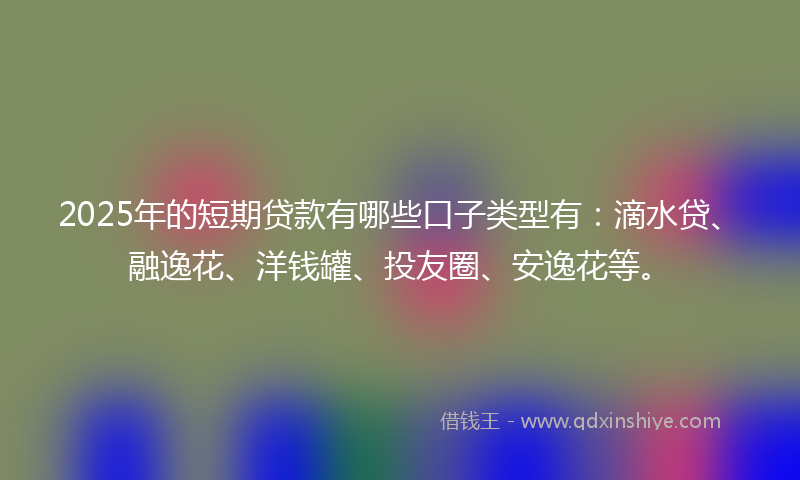 2025年的短期贷款有哪些口子类型有：滴水贷、融逸花、洋钱罐、投友圈、安逸花等。