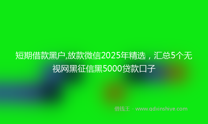 短期借款黑户,放款微信2025年精选，汇总5个无视网黑征信黑5000贷款口子