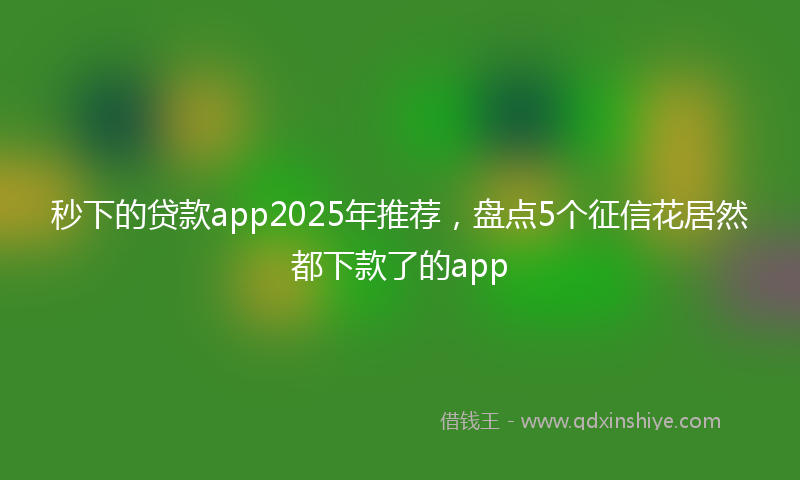 秒下的贷款app2025年推荐，盘点5个征信花居然都下款了的app
