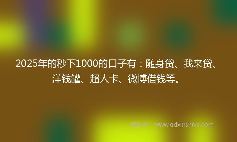 2025年的秒下1000的口子有：随身贷、我来贷、洋钱罐、超人卡、微博借钱等。