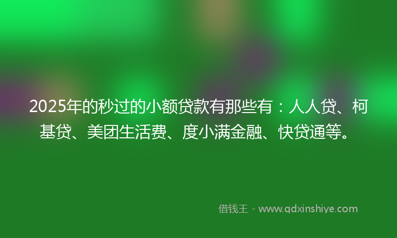 2025年的秒过的小额贷款有那些有：人人贷、柯基贷、美团生活费、度小满金融、快贷通等。