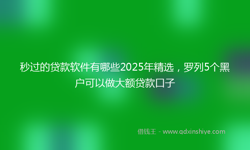 秒过的贷款软件有哪些2025年精选，罗列5个黑户可以做大额贷款口子