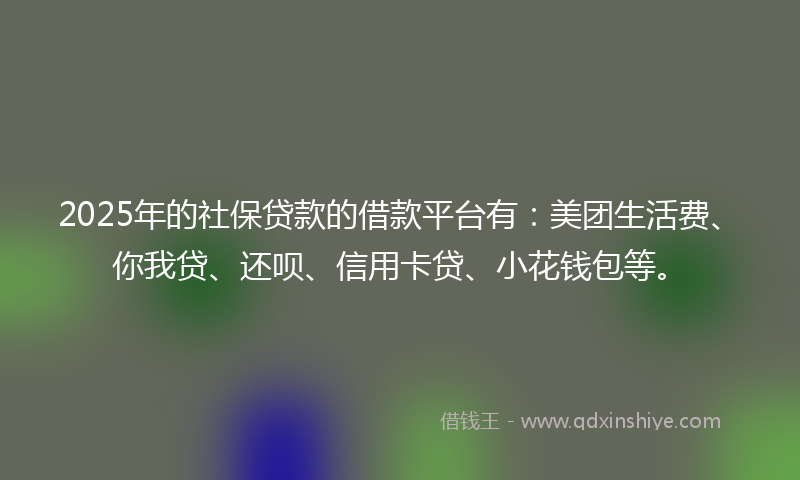 2025年的社保贷款的借款平台有：美团生活费、你我贷、还呗、信用卡贷、小花钱包等。