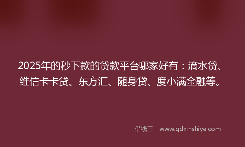 2025年的秒下款的贷款平台哪家好有：滴水贷、维信卡卡贷、东方汇、随身贷、度小满金融等。