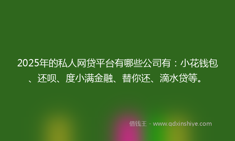 2025年的私人网贷平台有哪些公司有：小花钱包、还呗、度小满金融、替你还、滴水贷等。