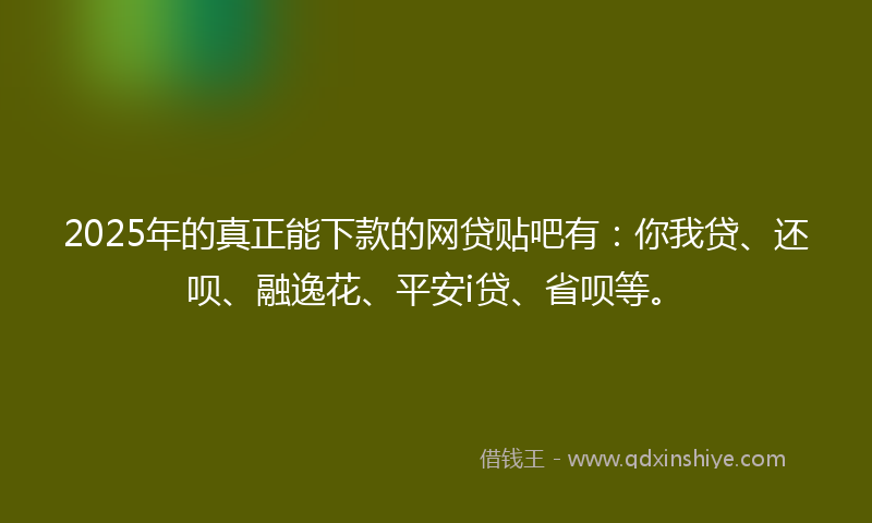 2025年的真正能下款的网贷贴吧有：你我贷、还呗、融逸花、平安i贷、省呗等。