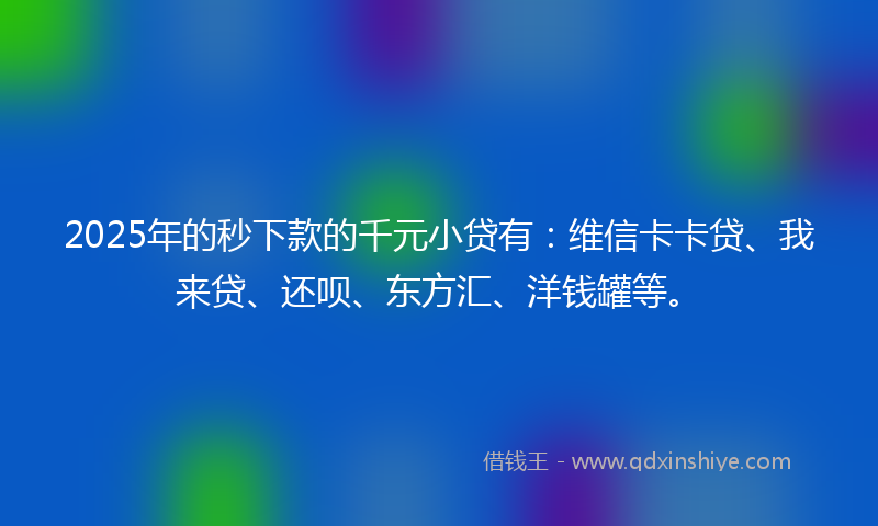 2025年的秒下款的千元小贷有：维信卡卡贷、我来贷、还呗、东方汇、洋钱罐等。