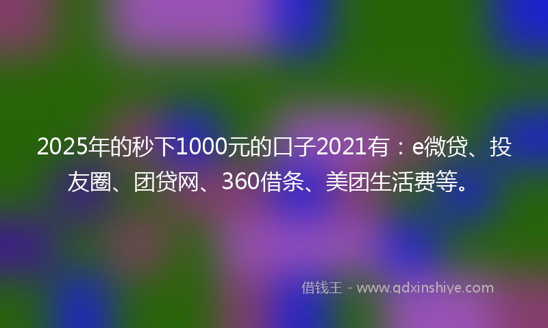 2025年的秒下1000元的口子2021有：e微贷、投友圈、团贷网、360借条、美团生活费等。