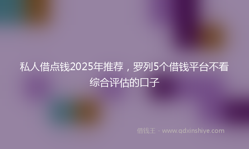 私人借点钱2025年推荐，罗列5个借钱平台不看综合评估的口子