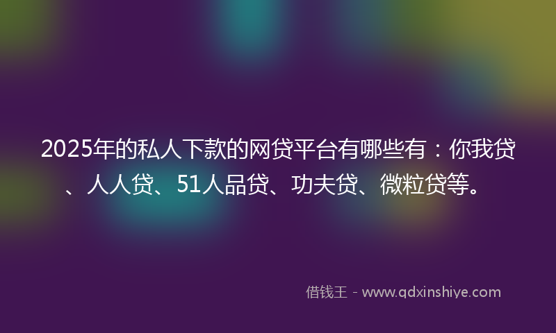 2025年的私人下款的网贷平台有哪些有：你我贷、人人贷、51人品贷、功夫贷、微粒贷等。