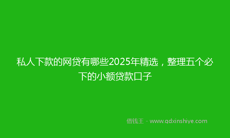 私人下款的网贷有哪些2025年精选，整理五个必下的小额贷款口子