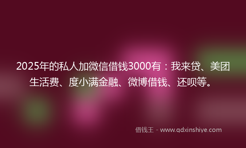 2025年的私人加微信借钱3000有：我来贷、美团生活费、度小满金融、微博借钱、还呗等。