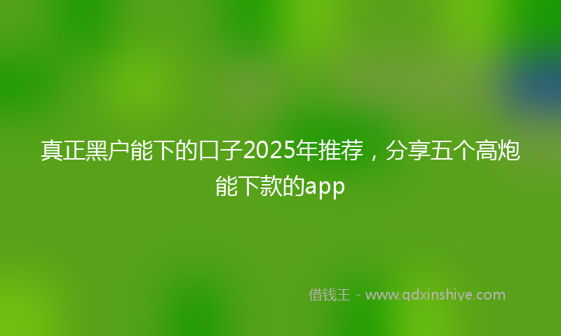 真正黑户能下的口子2025年推荐，分享五个高炮能下款的app