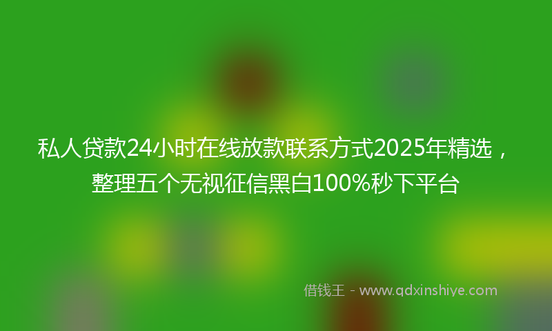 私人贷款24小时在线放款联系方式2025年精选，整理五个无视征信黑白100%秒下平台