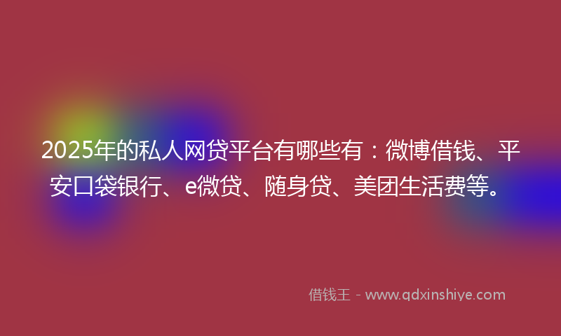 2025年的私人网贷平台有哪些有：微博借钱、平安口袋银行、e微贷、随身贷、美团生活费等。