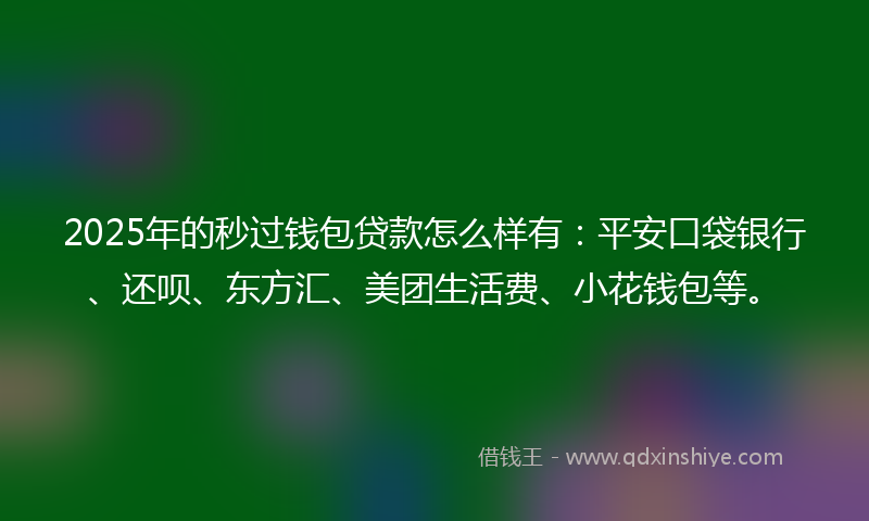 2025年的秒过钱包贷款怎么样有：平安口袋银行、还呗、东方汇、美团生活费、小花钱包等。