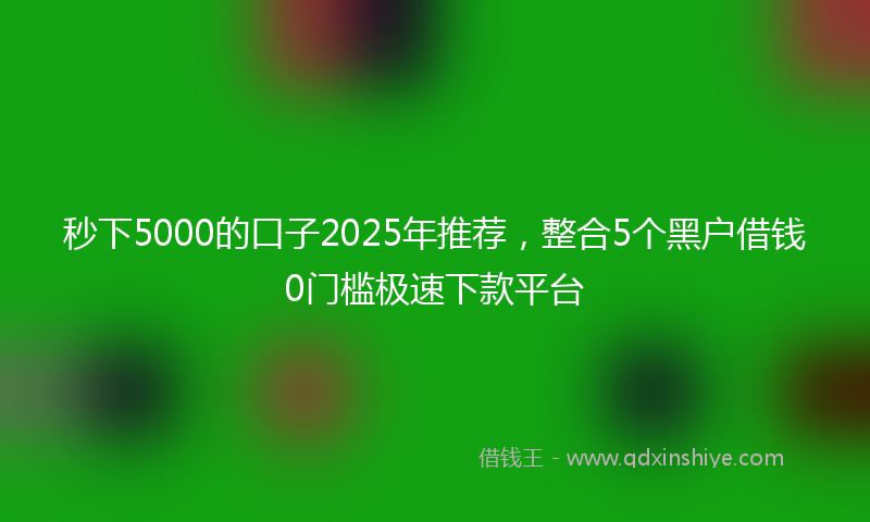 秒下5000的口子2025年推荐，整合5个黑户借钱0门槛极速下款平台