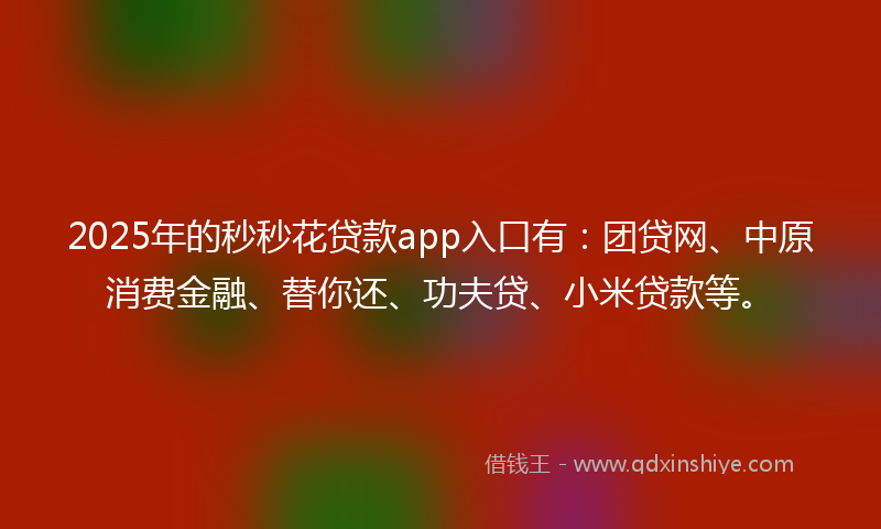 2025年的秒秒花贷款app入口有：团贷网、中原消费金融、替你还、功夫贷、小米贷款等。
