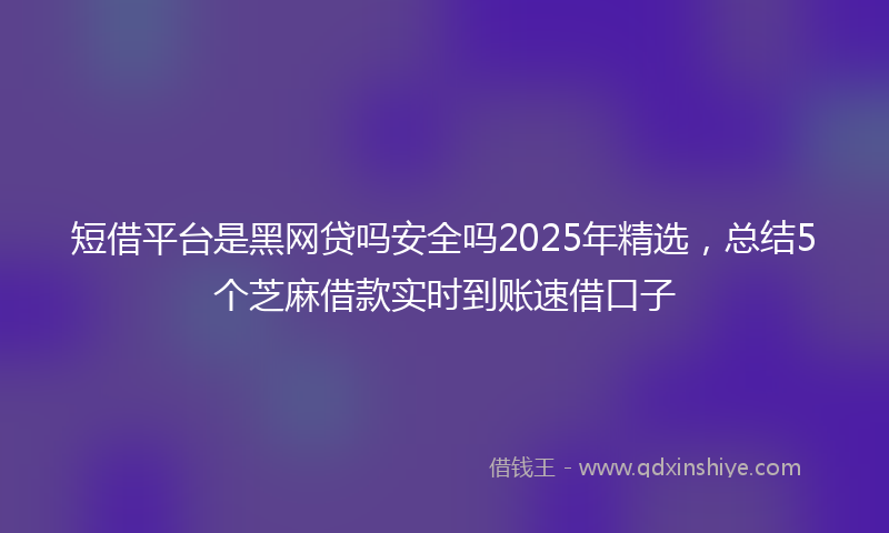 短借平台是黑网贷吗安全吗2025年精选，总结5个芝麻借款实时到账速借口子