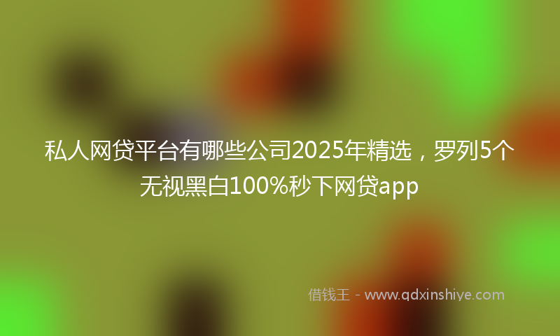 私人网贷平台有哪些公司2025年精选，罗列5个无视黑白100%秒下网贷app