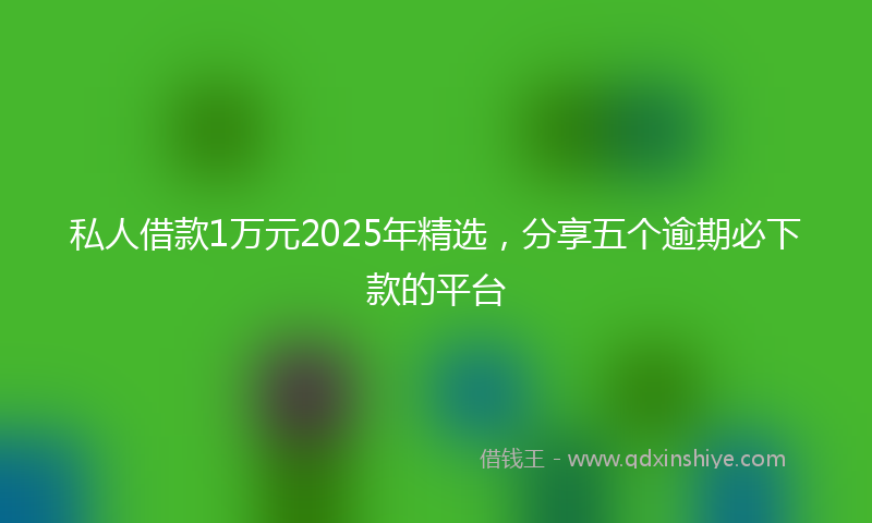 私人借款1万元2025年精选，分享五个逾期必下款的平台