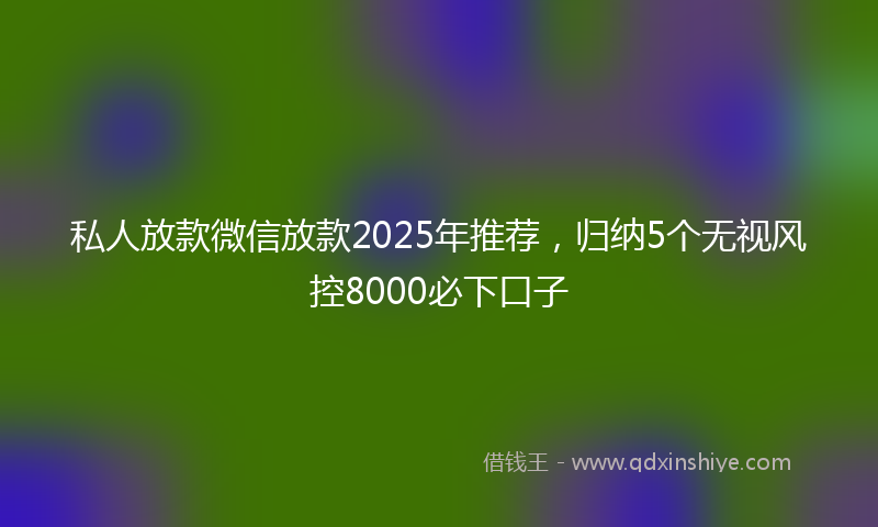 私人放款微信放款2025年推荐，归纳5个无视风控8000必下口子