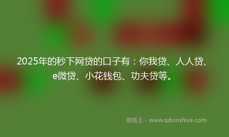2025年的秒下网贷的口子有：你我贷、人人贷、e微贷、小花钱包、功夫贷等。