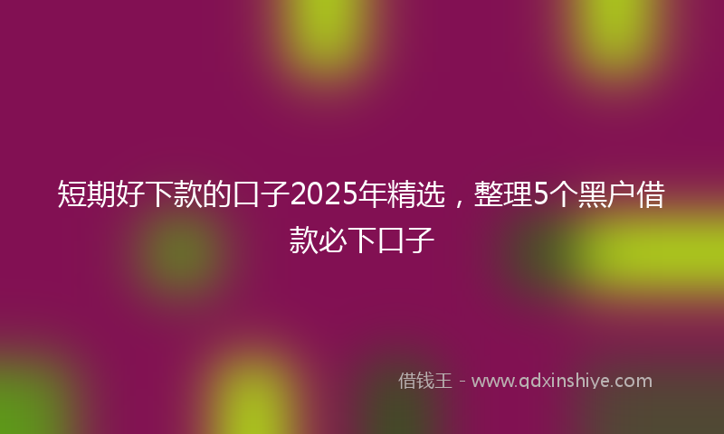短期好下款的口子2025年精选，整理5个黑户借款必下口子