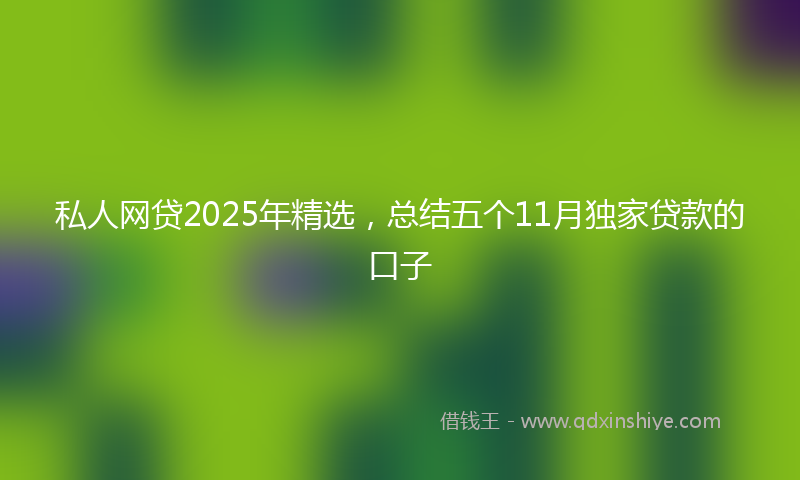 私人网贷2025年精选，总结五个11月独家贷款的口子